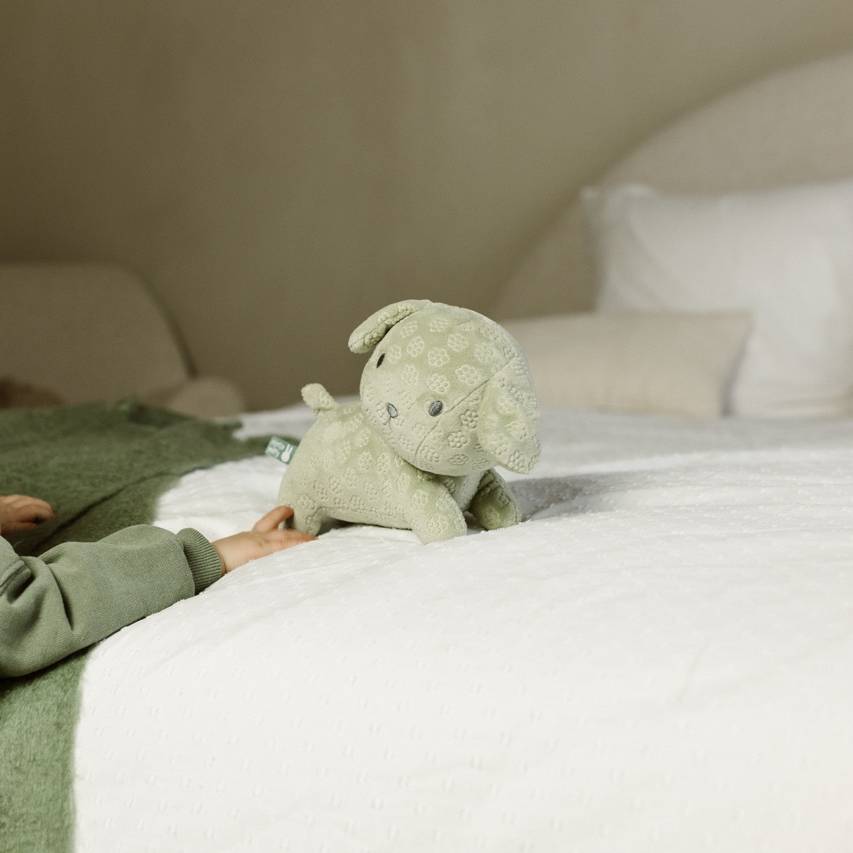 Miffy Snuffy Cuddle Flower Green 25cm