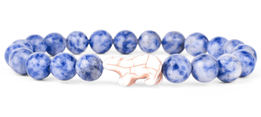 Fahlo Venture Polar Bear Igloo Blue