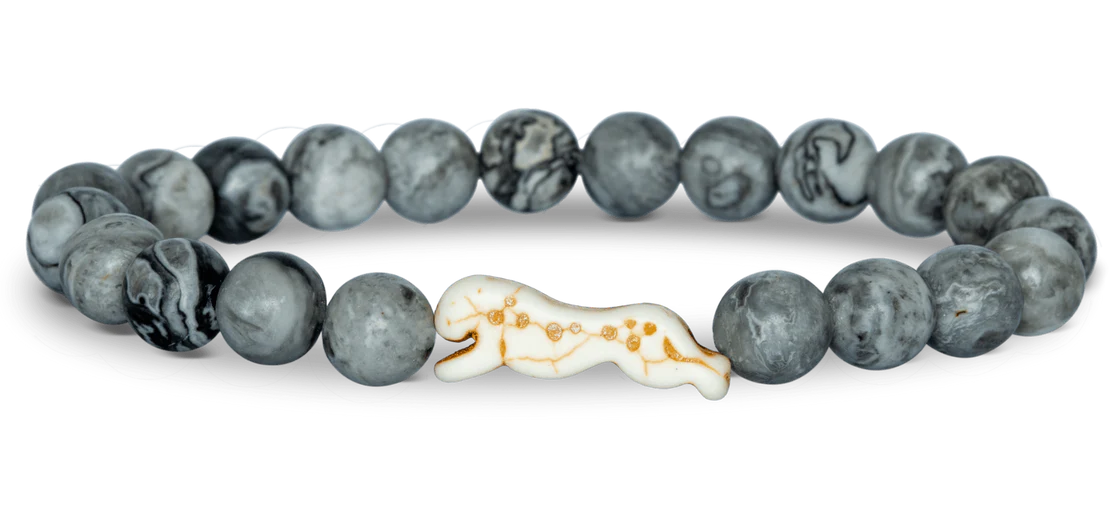 Fahlo Sprint Cheetah Cloudburst