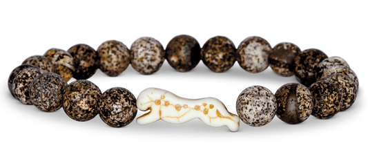 Fahlo Sprint Cheetah Kalahari